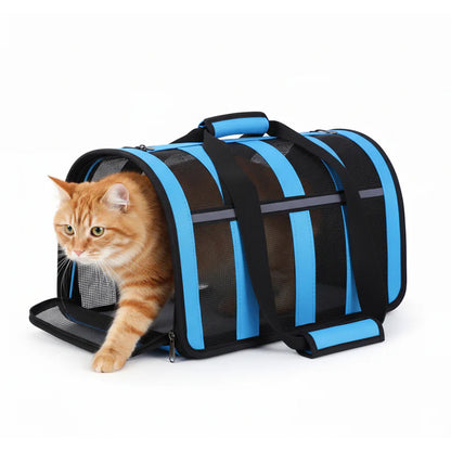 Foldable breathable mesh pet carrier bag with cat