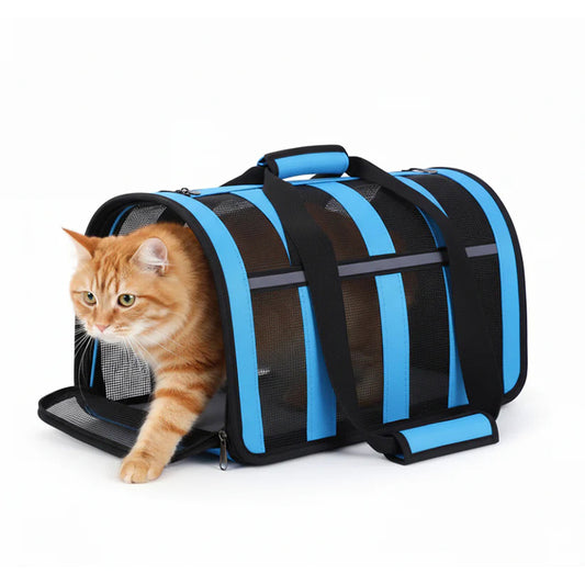 Foldable breathable mesh pet carrier bag with cat