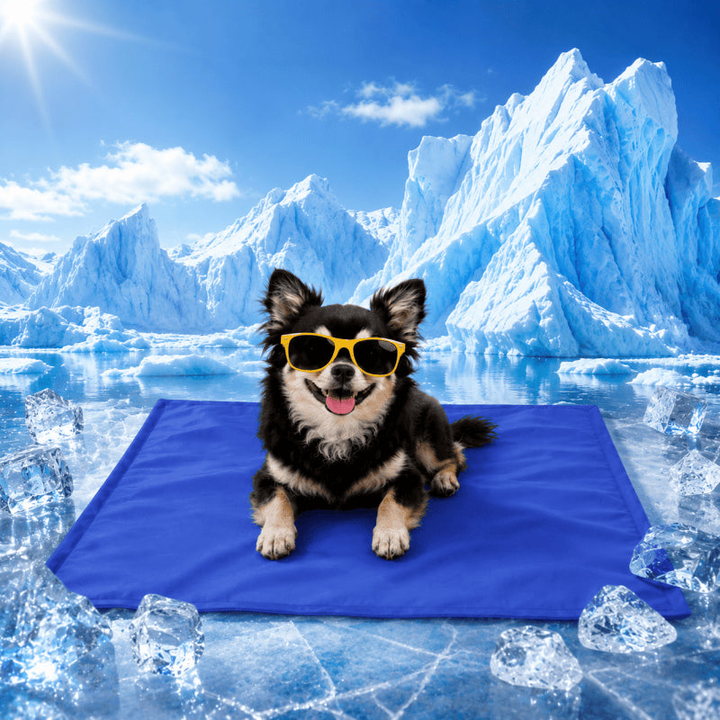 Dog relaxing on blue self-cooling mat