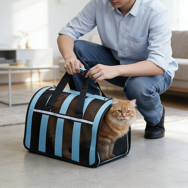 Foldable Breathable Mesh Pet Carrier Bag for Dogs & Cats