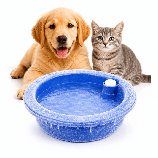 Blue freeze-activated cooling water bowl for dogs and cats