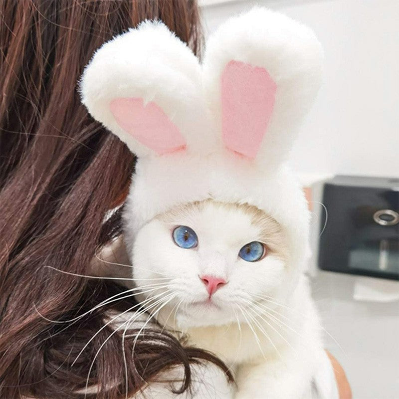 Bunny rabbit hat for cats and small dogs