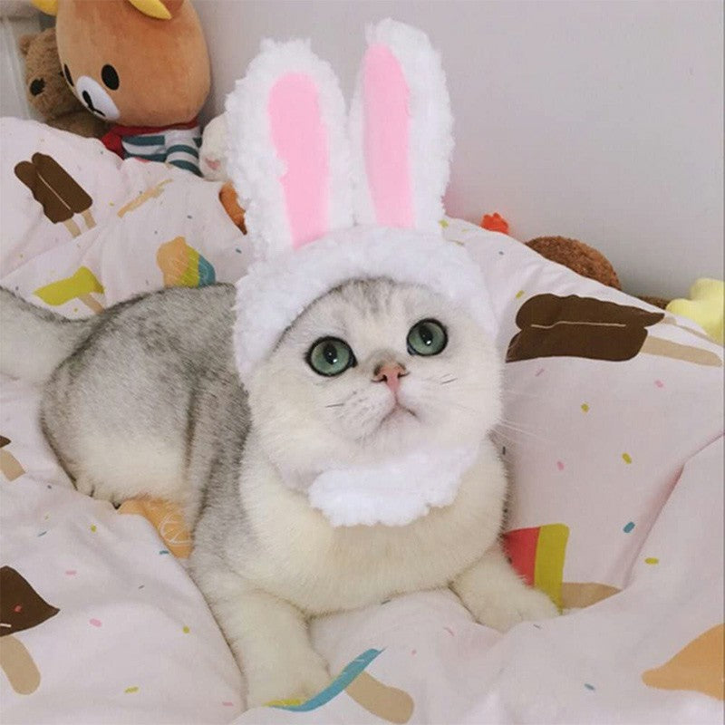 Pet bunny costume hat detail