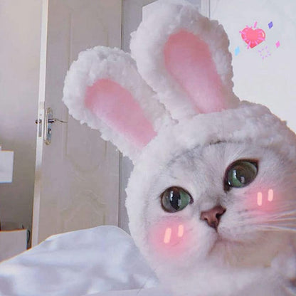 White bunny ear pet accessory