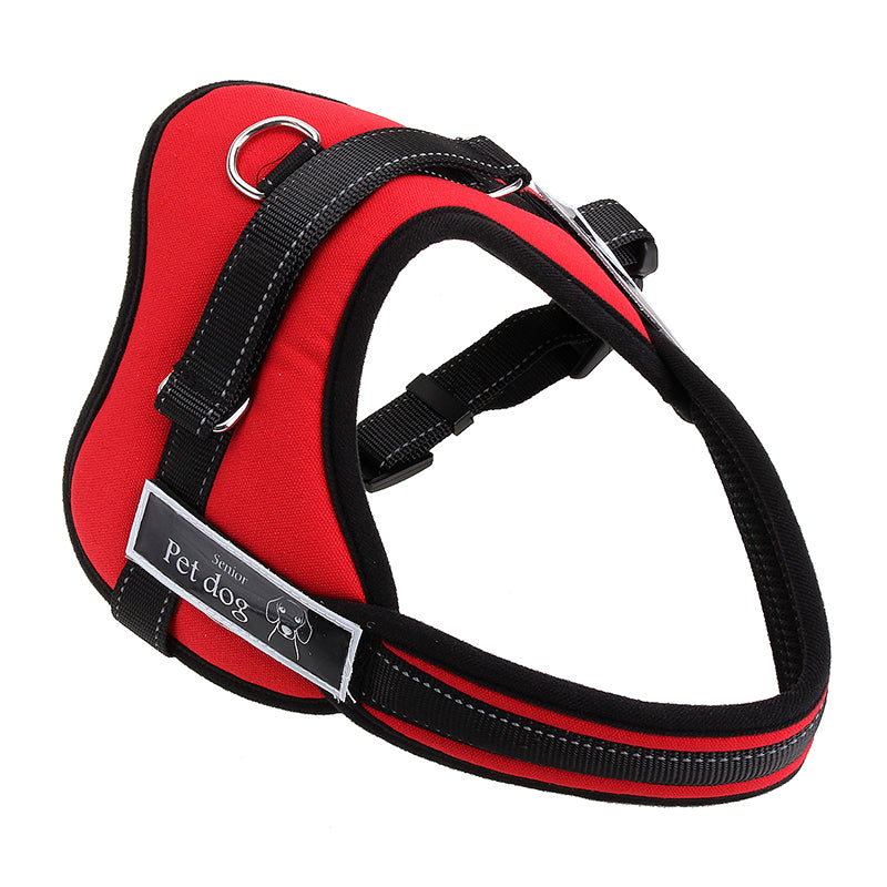 Back view of red and black XL dog walking harness