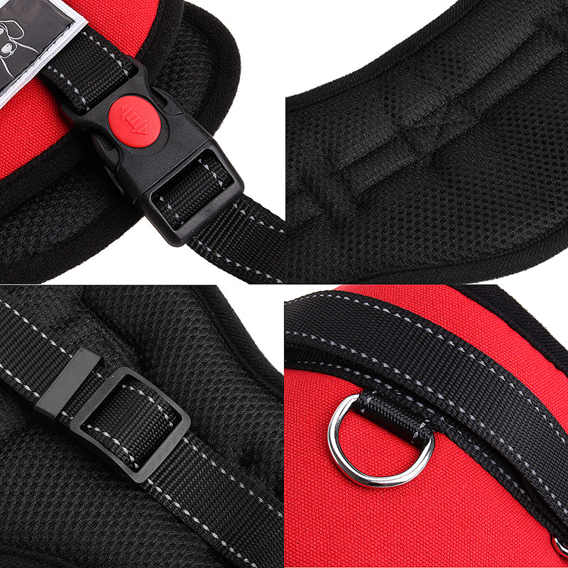 Details of the adjustable straps, buckle and mesh lining